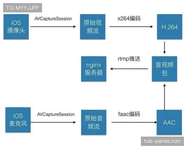 E组各队晋级路径分析